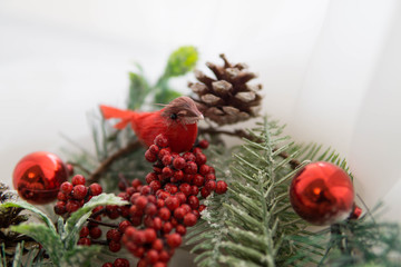 Obraz premium Christmas card red birds on the xmas wreath 