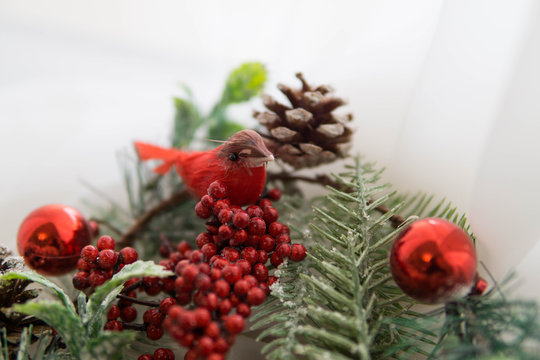 Christmas card red birds on the xmas wreath 