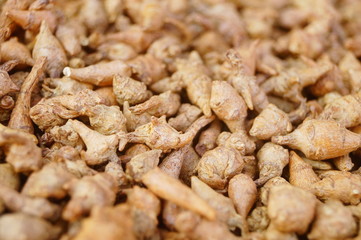 Wild medicine panax notoginseng