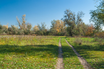 Country landscape with an earth road through meadow at sunny autumnal day