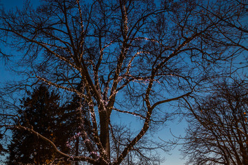 Christmas decorations in the central park of Kouvola with evening light illumination.