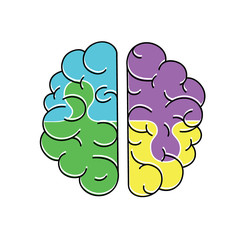 the human brain in the form of a puzzle. vector illustration.