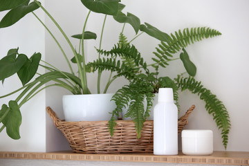 Natural cosmetics and leaves of tropical and fern on a light background
