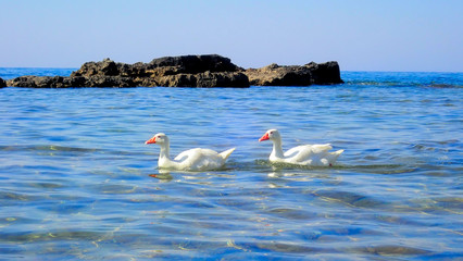 Greece Crete island Koum Kapi Beach