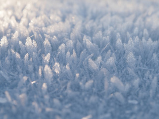 Delicate frosty background with beautiful frost crystals in winter. Natural ornament ornament hoarfrost decoration and design.