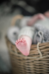 A beautiful soft delicate warm young baby foot photographed with a shallow depth of field. gentle calm colours and feel. baby care and well being. babies feet in a wooden basket