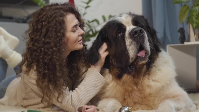Close-up of brunette Caucasian woman stroking big Saint Bernard's ear and talking. Smiling girl resting with pet at home lying on soft carpet. Leisure, frinedship, happines, relaxation.