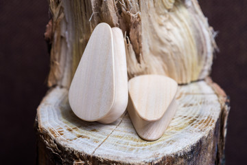 Tunnel, Plugs,piercings. Products from a tree, Jewelry made of wood.