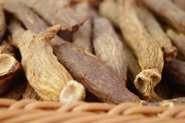 Close-up of the medicinal herb red ginseng