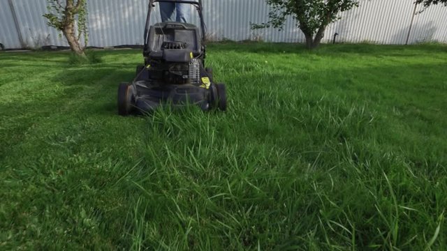 Young man cutting green grass using a petrol lawn mower in a garden
