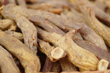 Close-up of the medicinal herb red ginseng