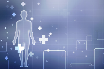 2d illustration Human Male Muscle Body