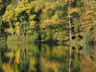 Beautiful landscape of trees reflected in water at Wilanow park in european Warsaw capital city in Poland