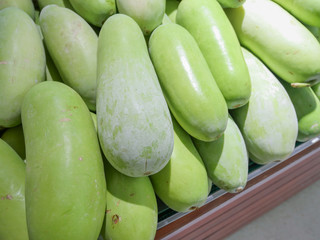 Winter melon 
