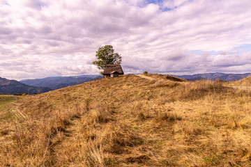 small wooden house with thatched roof in the mountains.