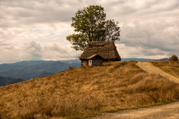 small wooden house with thatched roof in the mountains.