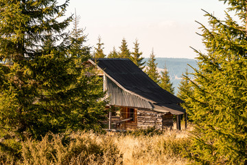 cabin with wood shingle on a roof in the mountains.