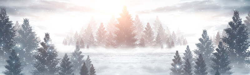 Winter abstract landscape. Sunlight in the winter forest. Panorama of forest landscape in winter....