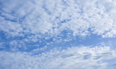 Obraz premium White scattered cloud and blue sky