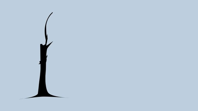Self drawing tree animation on light blue background. Concept of nature, ecology, growth, development. Copy space