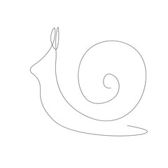 Snail animal isolated on the white background. Vector illustration