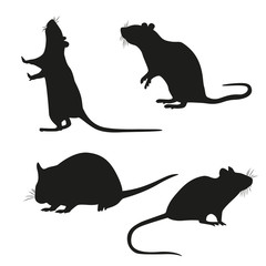 Set of black silhouettes of a rats isolated on a white background. Vectorillustration