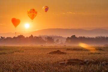 Fototapeta na wymiar Hotair balloon in the morning sky floating through the rice fields