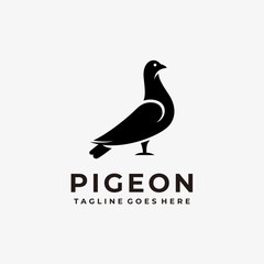 Pigeon Illustration Vector Template