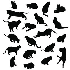 Set vector silhouettes of the cat, different poses, standing, jumping and sitting,  black color, isolated on white background