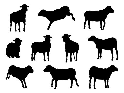 A set of sheep or lambs farm animals in silhouette