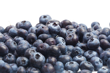 Blueberries isolated on white background.