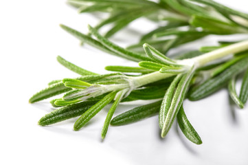 rosemary sprig close-up on white  background