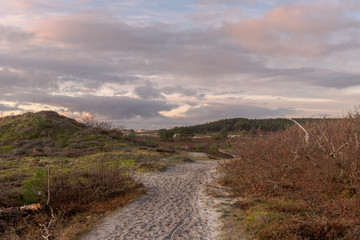 Sand path through dunes under a sky with light pink clouds of the setting sun