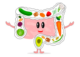 Strong healthy intestines, good digestion. Healthy food for the intestines. Isolate on white background.