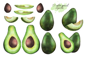 Avocado set 12 color pencil clipart illustration