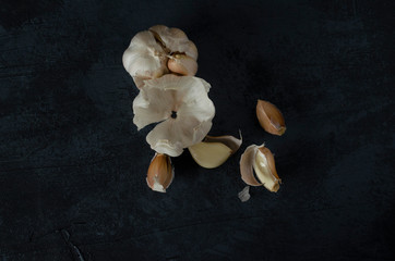 The garlic, garlic cloves and skin on the dark background.