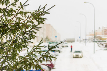 spruce tree against a snowy street, along the parking lot a white car and pedestrian in red are moving, selective focus