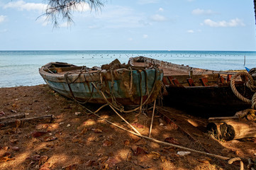 Fototapeta na wymiar Old wooden boats under the pines on the shore near the pearl farm in Vietnam.