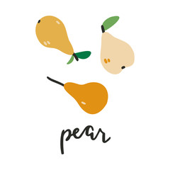 Vector hand drawn illustration of pear, crop harvest. Doodle icon in trendy flat cartoon style.