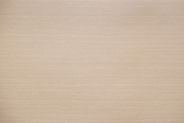 Fototapeta premium Wood background texture. Texture of wood background closeup.