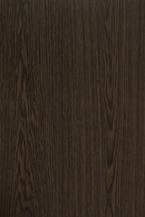Wood background texture. Texture of wood background closeup.