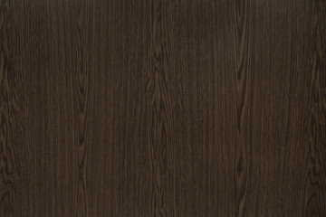 Wood background texture. Texture of wood background closeup.