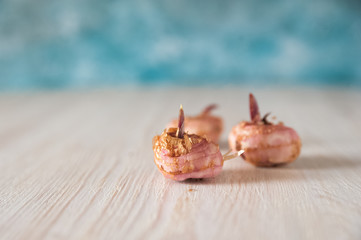 Flat lay bulbs of gladioli on a blue background and copy space.