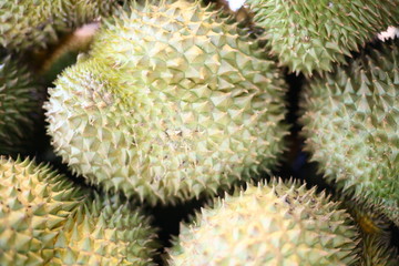 Durian, the king of Thai fruits
