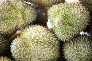 Durian, the king of Thai fruits