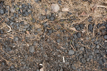 The land is dry with dirty clods