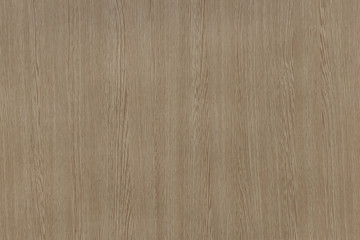 Wood background texture. Texture of wood background closeup.