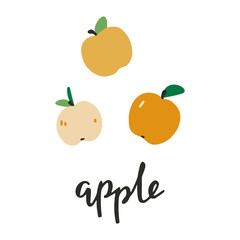 Vector hand drawn apples, fresh apple. Doodle icon in trendy flat cartoon style.