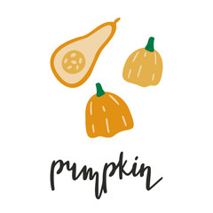 Vector hand drawn illustration of pumpkin. Doodle icon in modern trendy flat cartoon style.