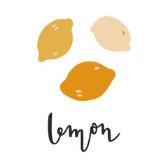 Vector hand drawn illustration of lemons, fresh citrus. Doodle icon in modern trendy flat cartoon style.